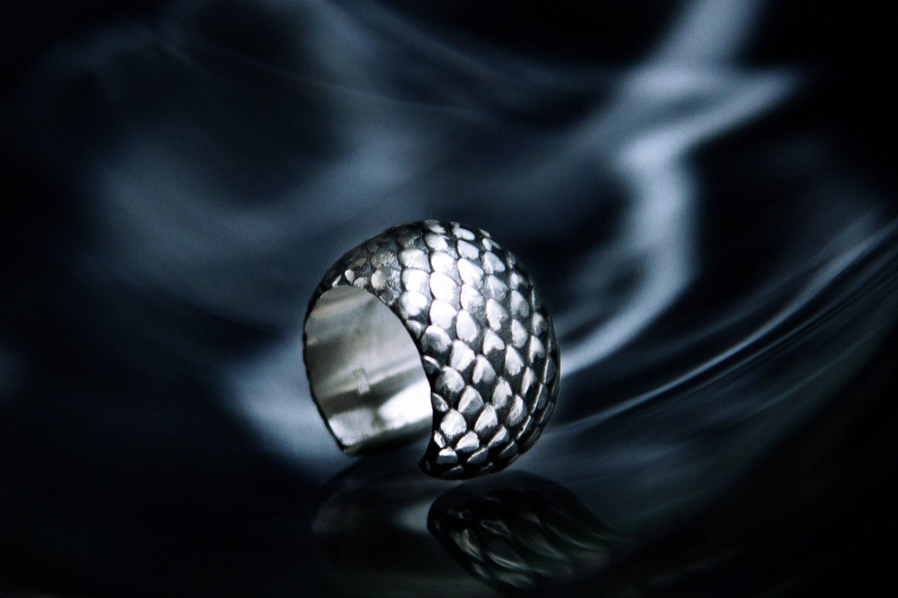 Silver scale-pattern ear cuff, no piercing earrings