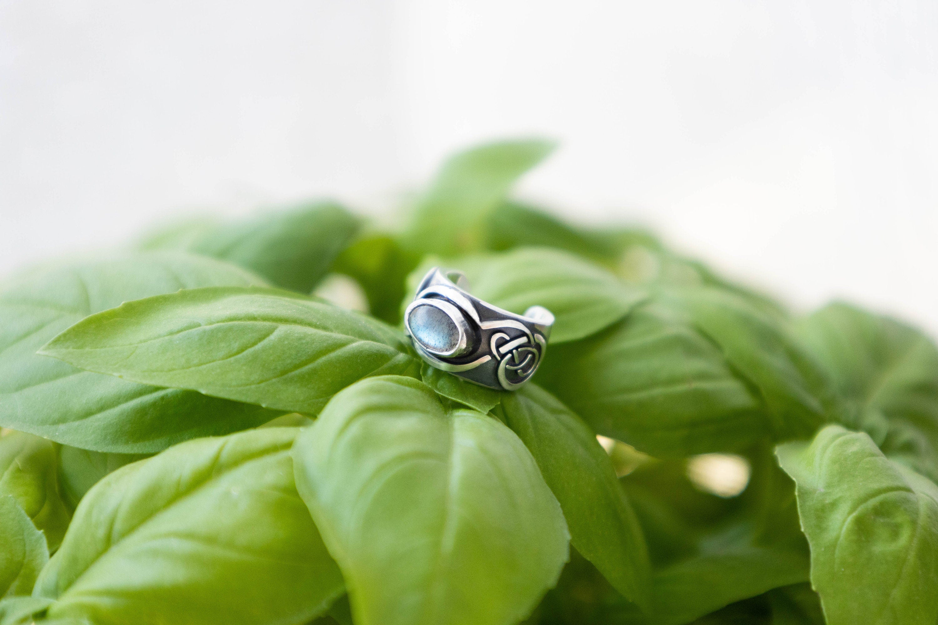 Celtic silver ear cuff with labradorite on green leaf background